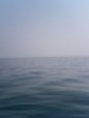 200603311500000_1