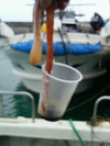 200605281737000
