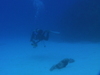 Imga0347