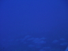 Imga0363