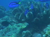 Imga0368
