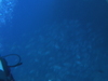 Imga0434