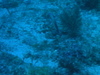 Imga0436