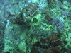 Imga0682