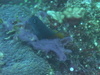 Imga0689