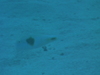 Imga0715