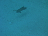 Imga0724