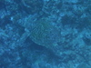 Imga0753