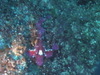 Imga0799