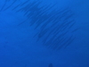 Imga0805