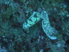 Imga0807