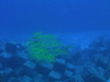 Imga0903
