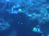 Imga0904