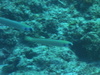 Imga0914