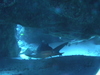 Imga0921
