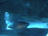 Imga0922