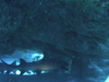 Imga0924