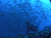 Imga0035