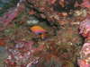 P6190003