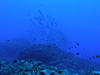 P7280176