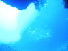 P9060042