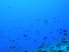 P9300008