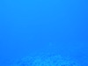 Pa090021