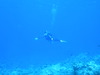 Pa090023