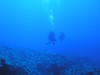 Pb080022